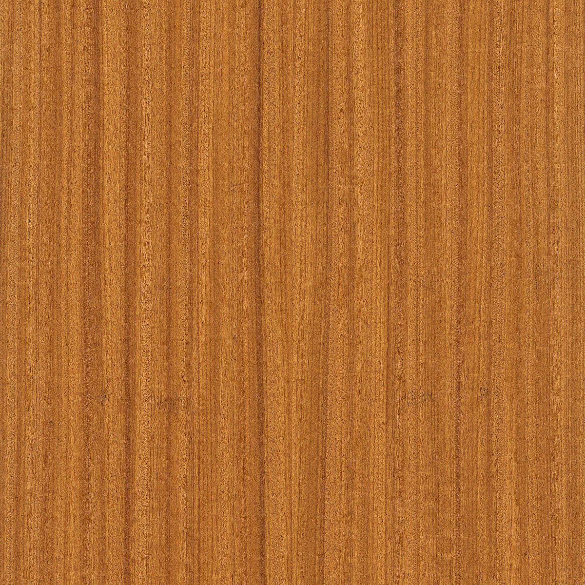 Afrormosia Veneer material sample – Eagle’s Nest, Sharjah UAE