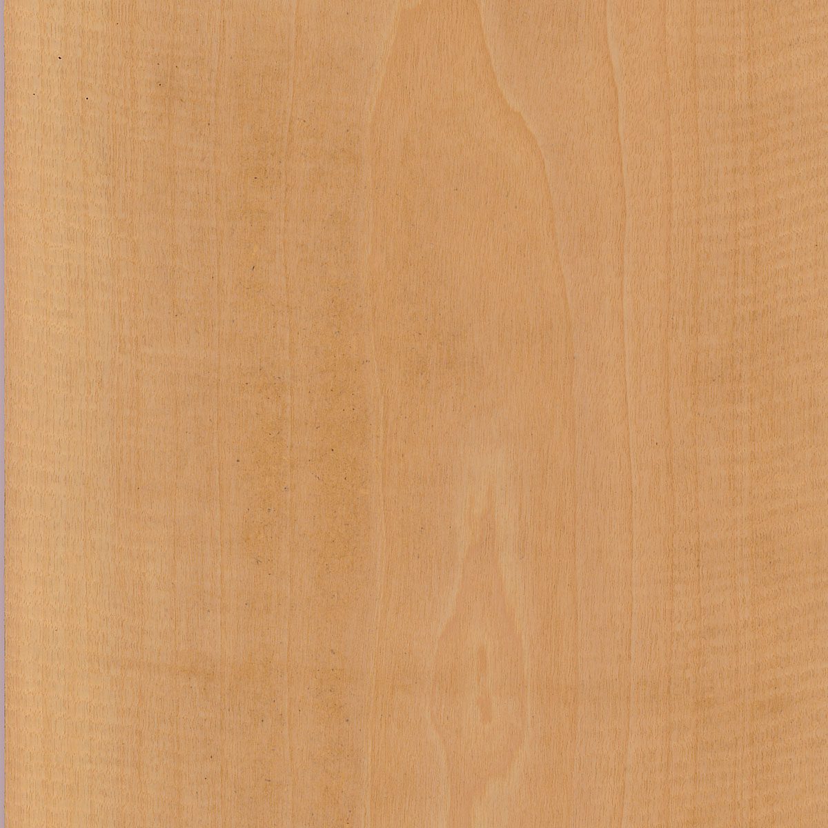 Flat Cut Plain Anegre Veneer material sample – Eagle’s Nest, Sharjah UAE