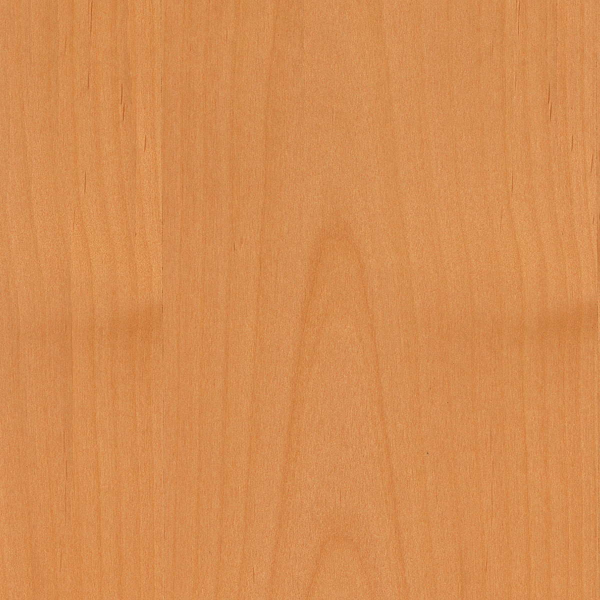 Flat Cut Red Alder Plywood material sample – Eagle’s Nest, Sharjah UAE