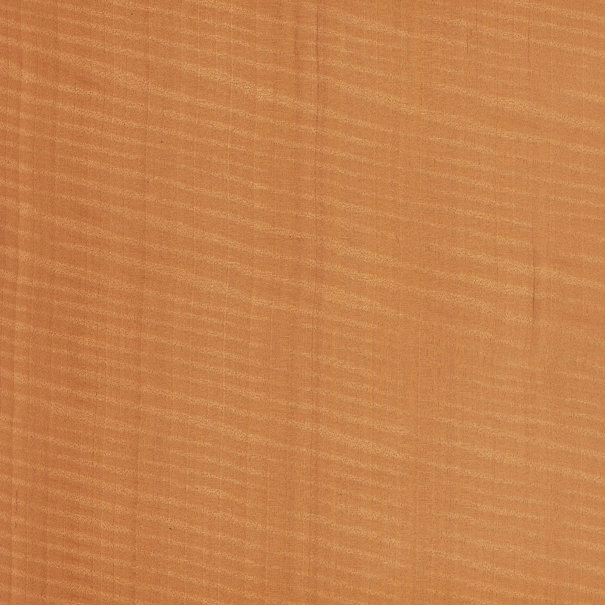 Quartered Figured Anegre Veneer material sample – Eagle’s Nest, Sharjah UAE