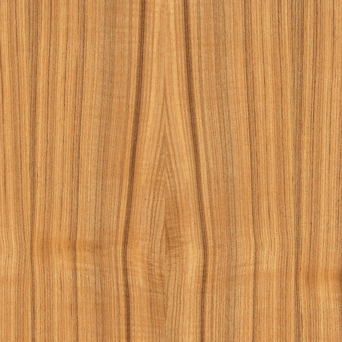 Quartered Brown Ash Veneer material sample – Eagle’s Nest, Sharjah UAE