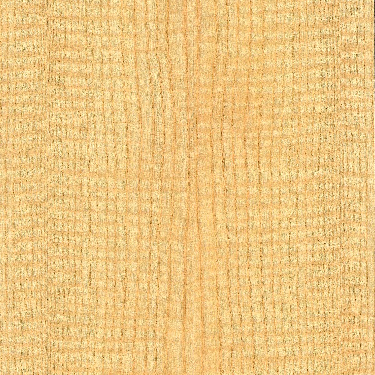 Figured European Ash Veneer material sample – Eagle’s Nest, Sharjah UAE