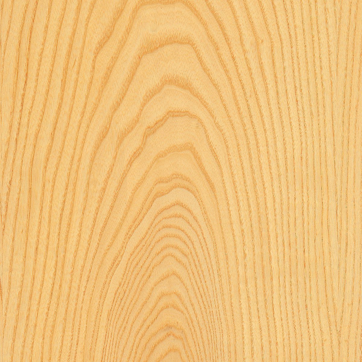 Flat Cut White Ash Veneer material sample – Eagle’s Nest, Sharjah UAE