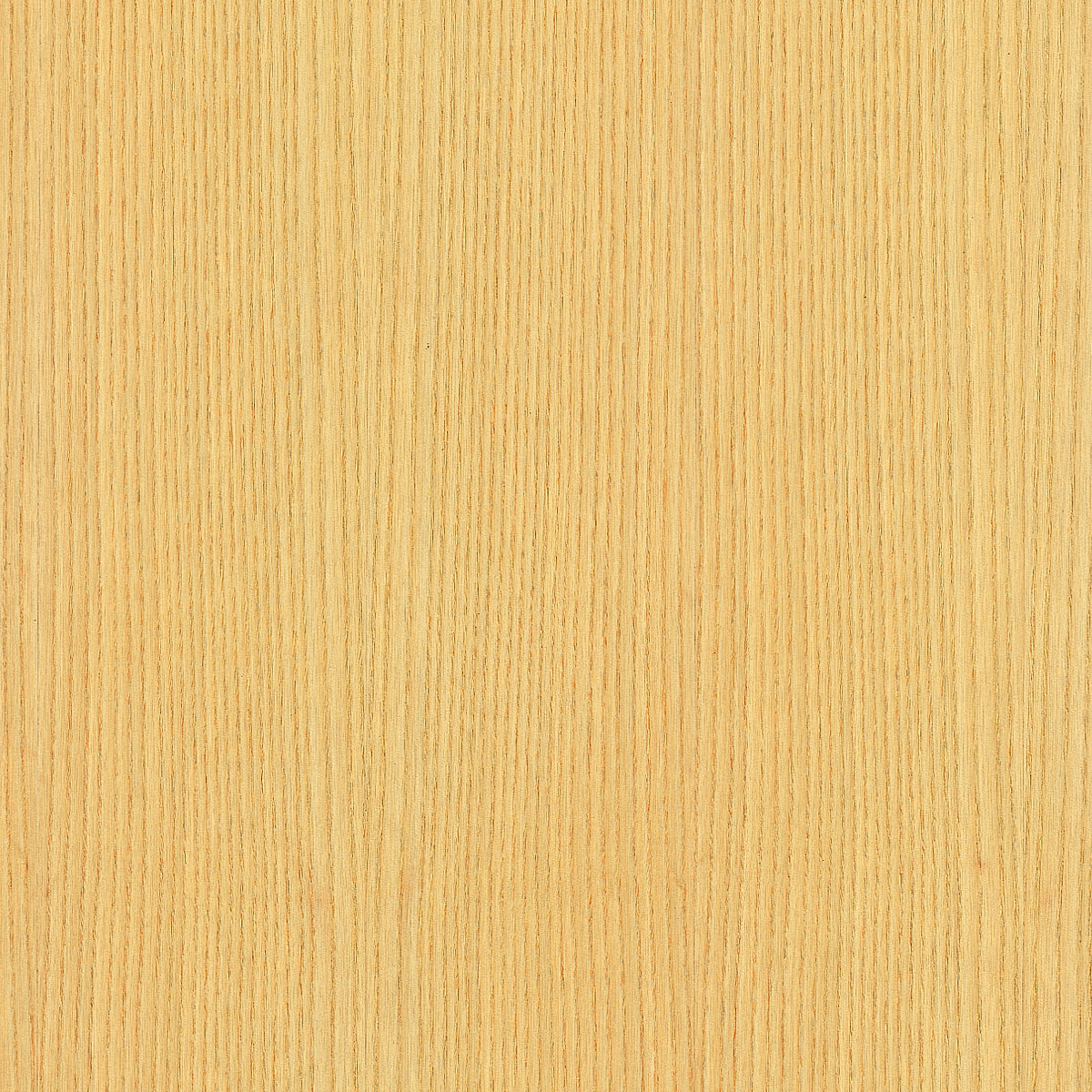 Quartered White Ash Veneer material sample – Eagle’s Nest, Sharjah UAE