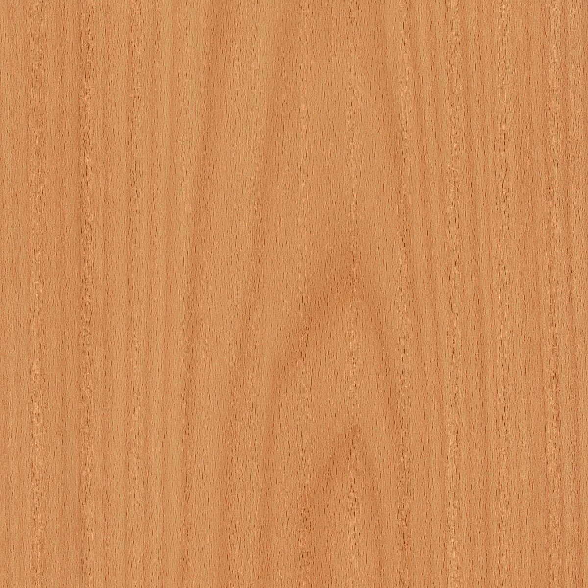 Flat Cut Steamed European Beech Veneer material sample – Eagle’s Nest, Sharjah UAE