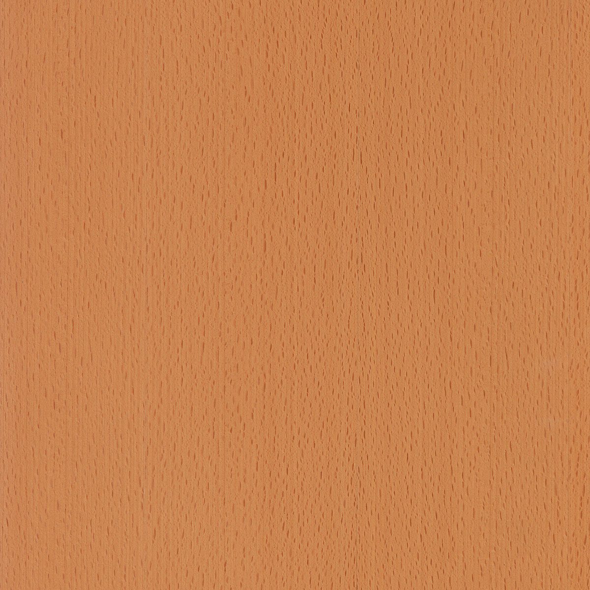 Quartered Steamed European Beech Veneer material sample – Eagle’s Nest, Sharjah UAE