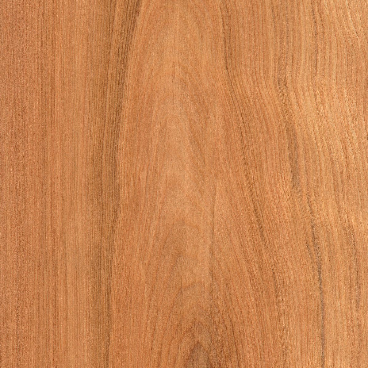 Red Birch Veneer material sample – Eagle’s Nest, Sharjah UAE