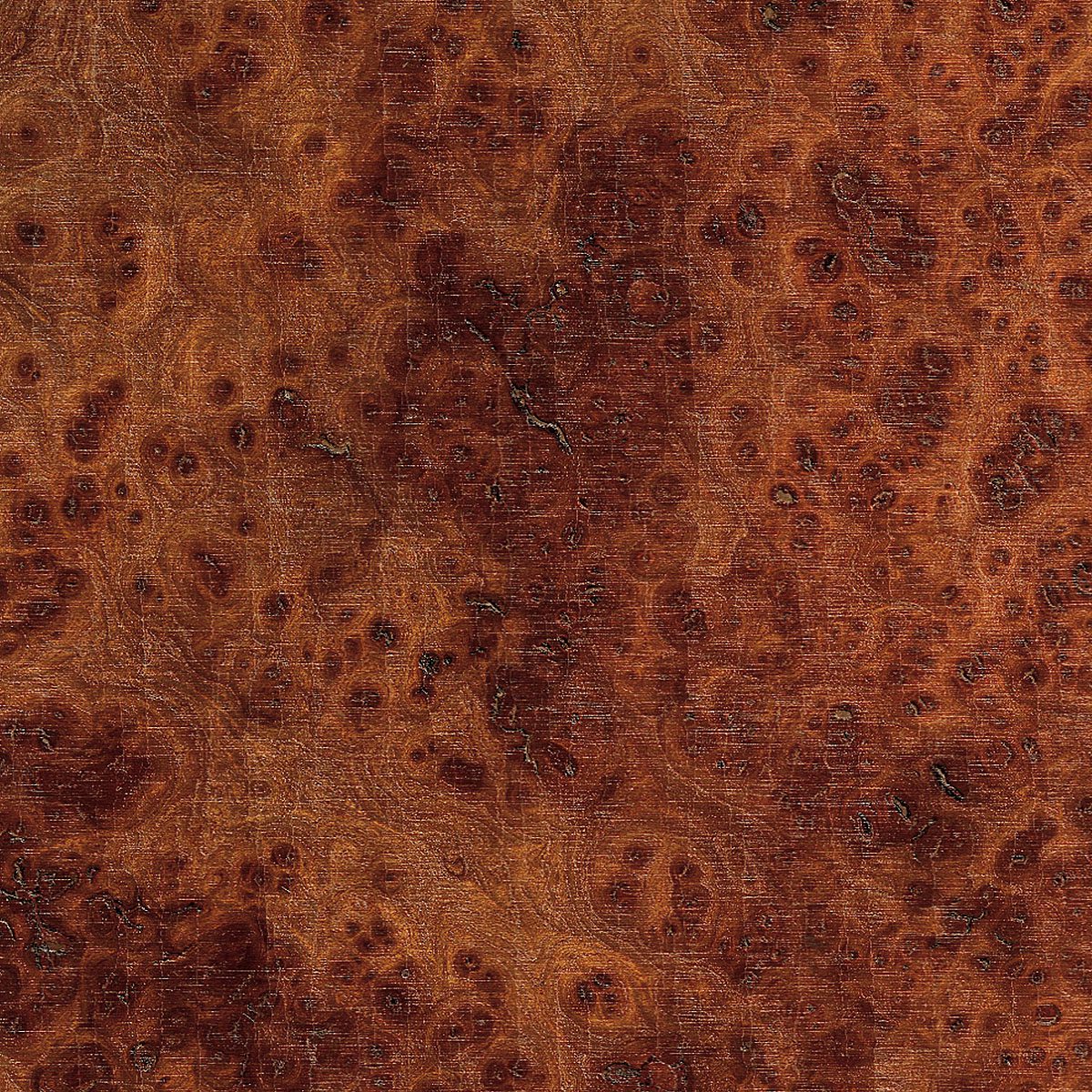 Burl Carpathian Elm Plywood material sample – Eagle’s Nest, Sharjah UAE