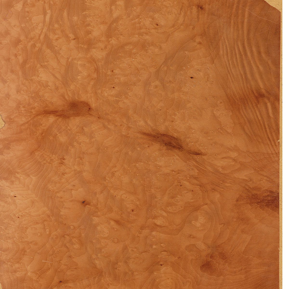Burl Madrone Plywood material sample – Eagle’s Nest, Sharjah UAE