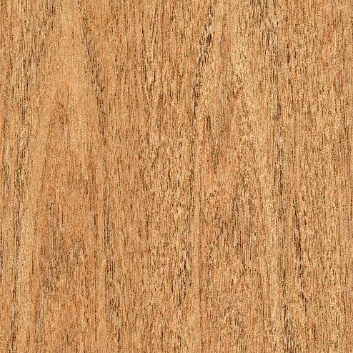 Flat Cut Butternut Veneer material sample – Eagle’s Nest, Sharjah UAE