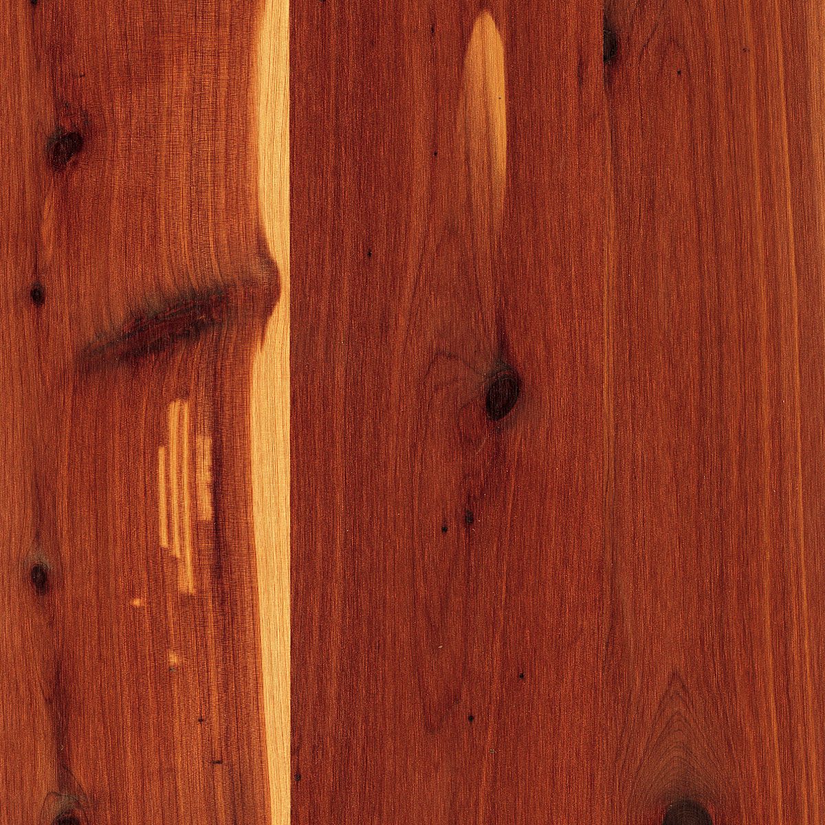 Aromatic Red Cedar Veneer material sample – Eagle’s Nest, Sharjah UAE