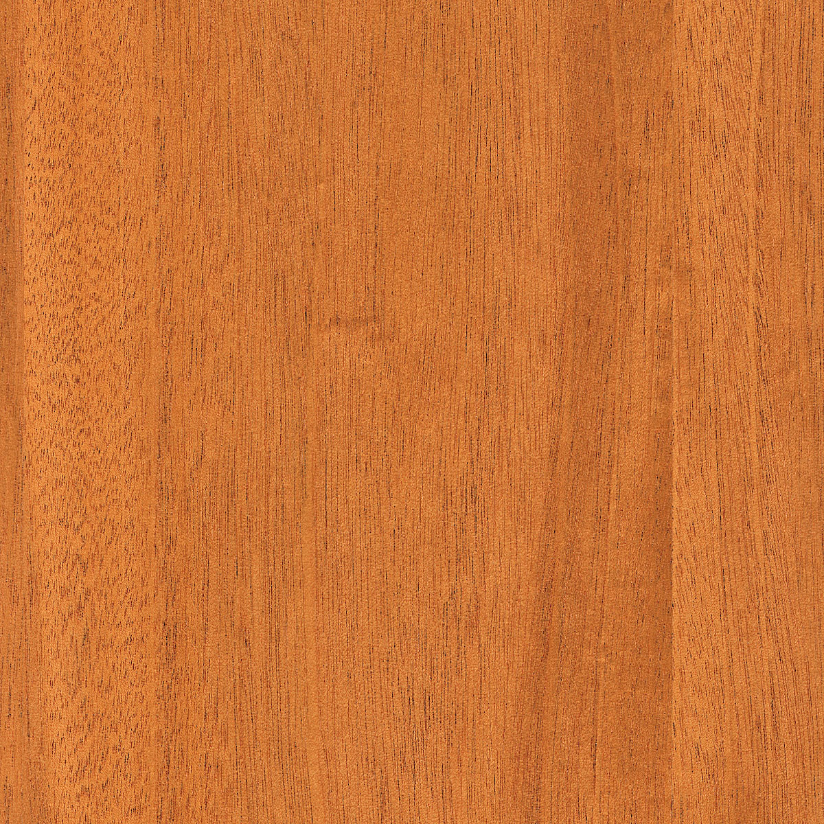 Spanish Cedar Veneer material sample – Eagle’s Nest, Sharjah UAE
