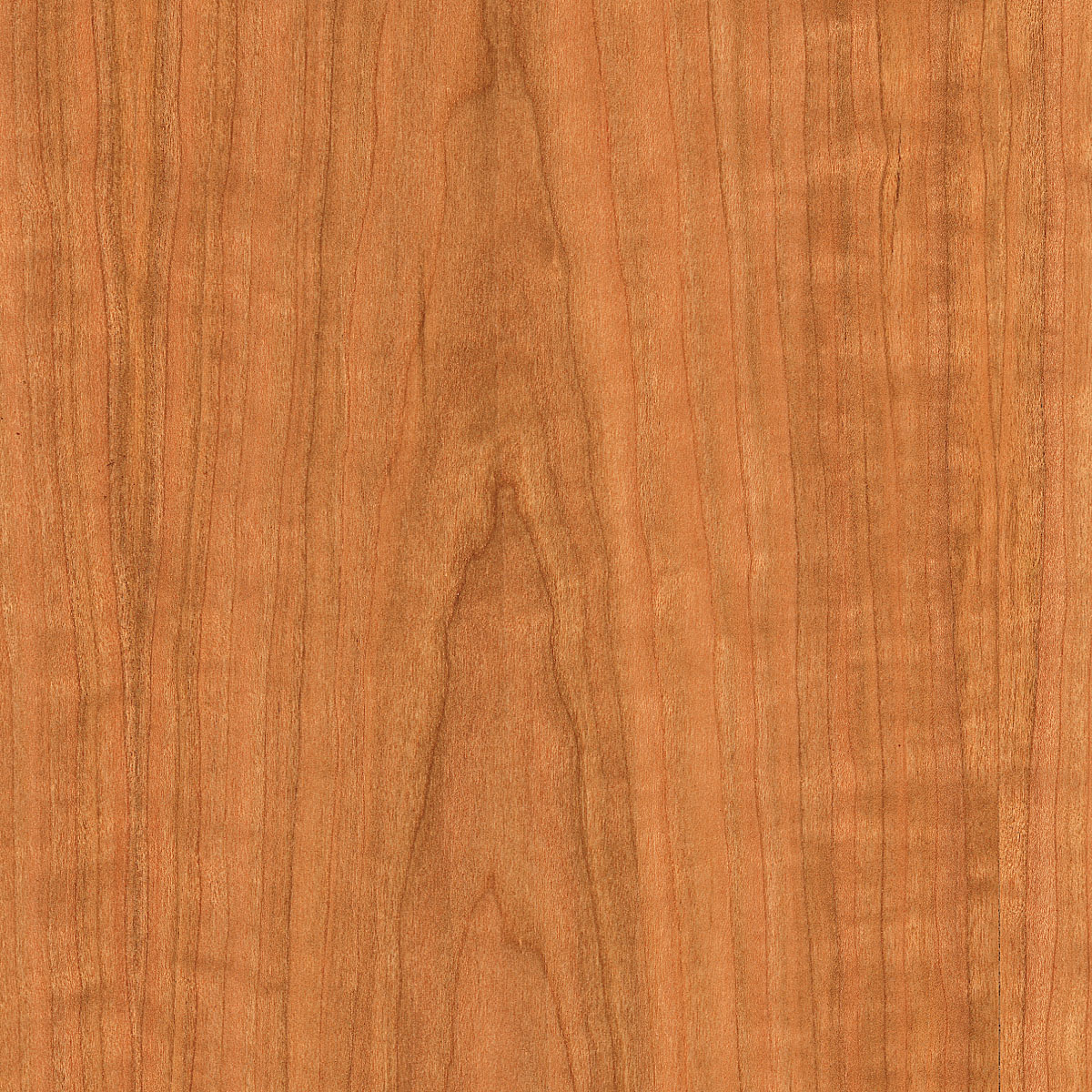 Flat Cut Cherry Veneer material sample – Eagle’s Nest, Sharjah UAE