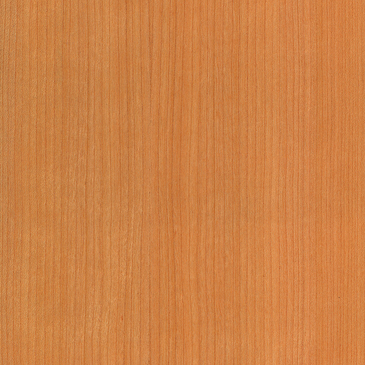 Quartered Cherry Veneer material sample – Eagle’s Nest, Sharjah UAE