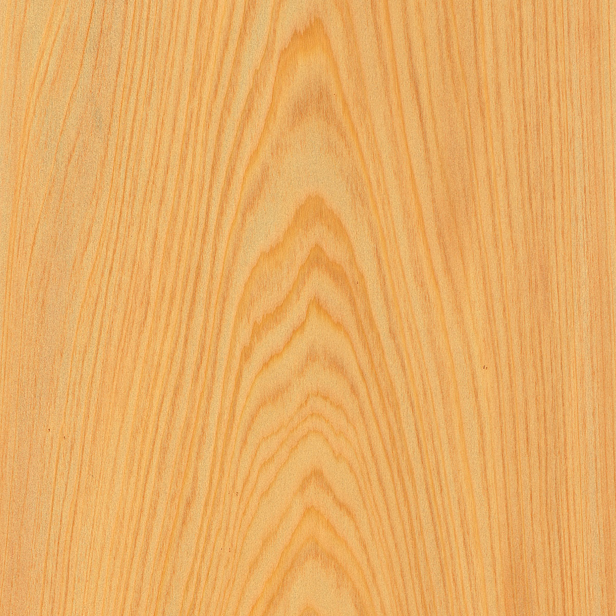 Flat Cut Cypress Veneer material sample – Eagle’s Nest, Sharjah UAE