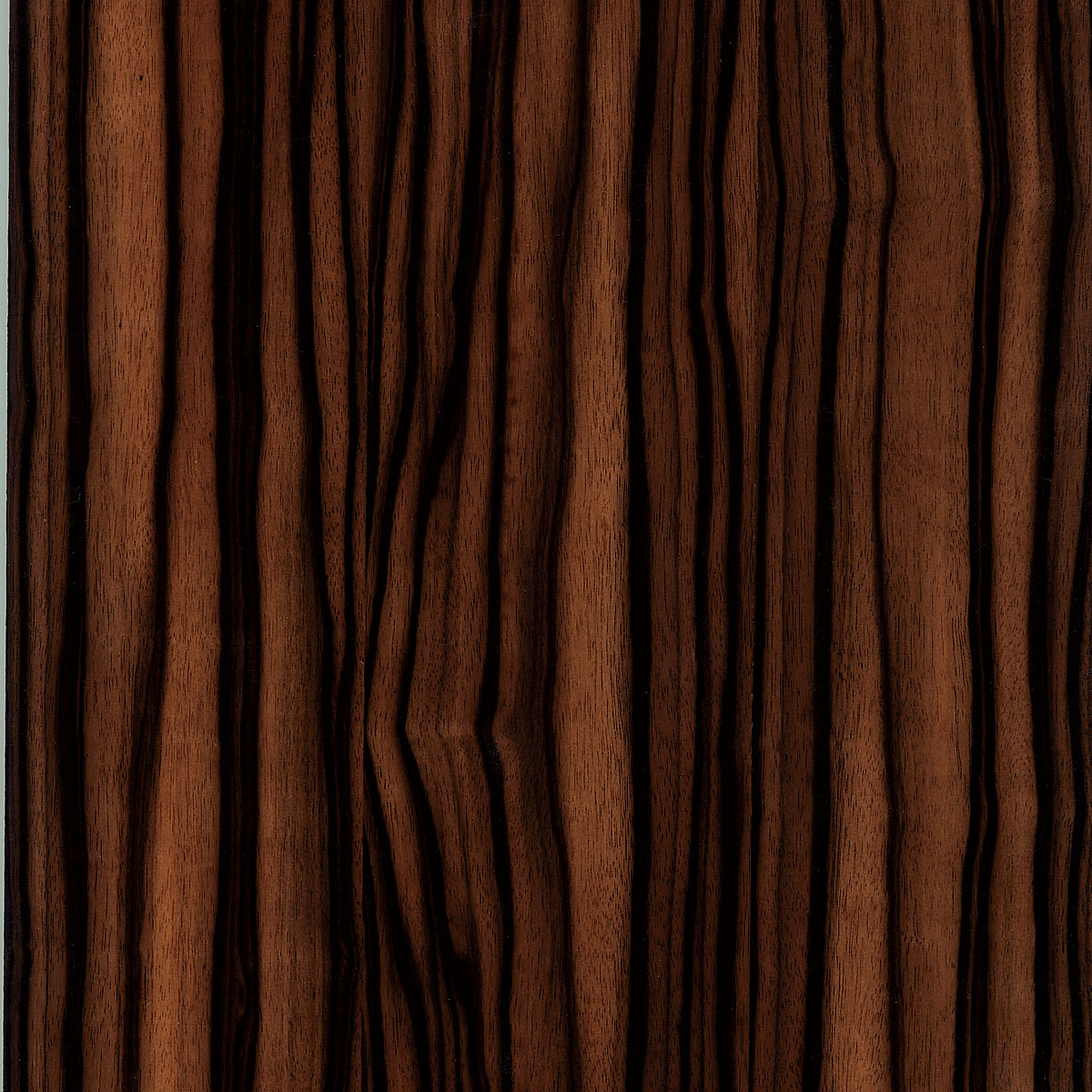 Macassar Ebony Veneer material sample – Eagle’s Nest, Sharjah UAE