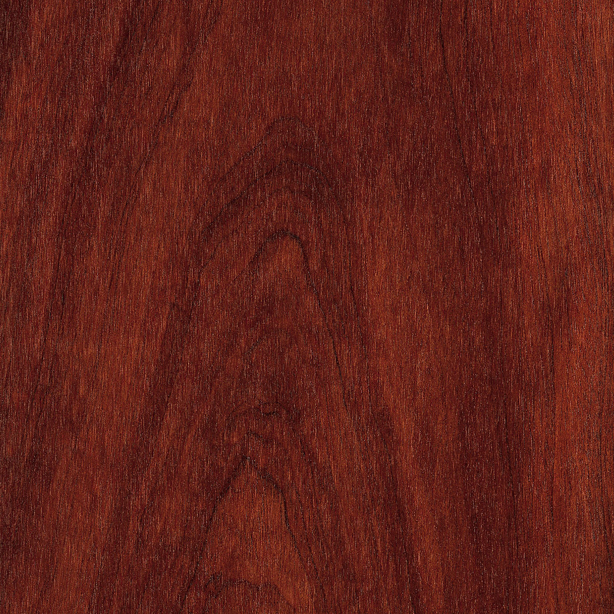 Flat Cut Etimoe Veneer material sample – Eagle’s Nest, Sharjah UAE