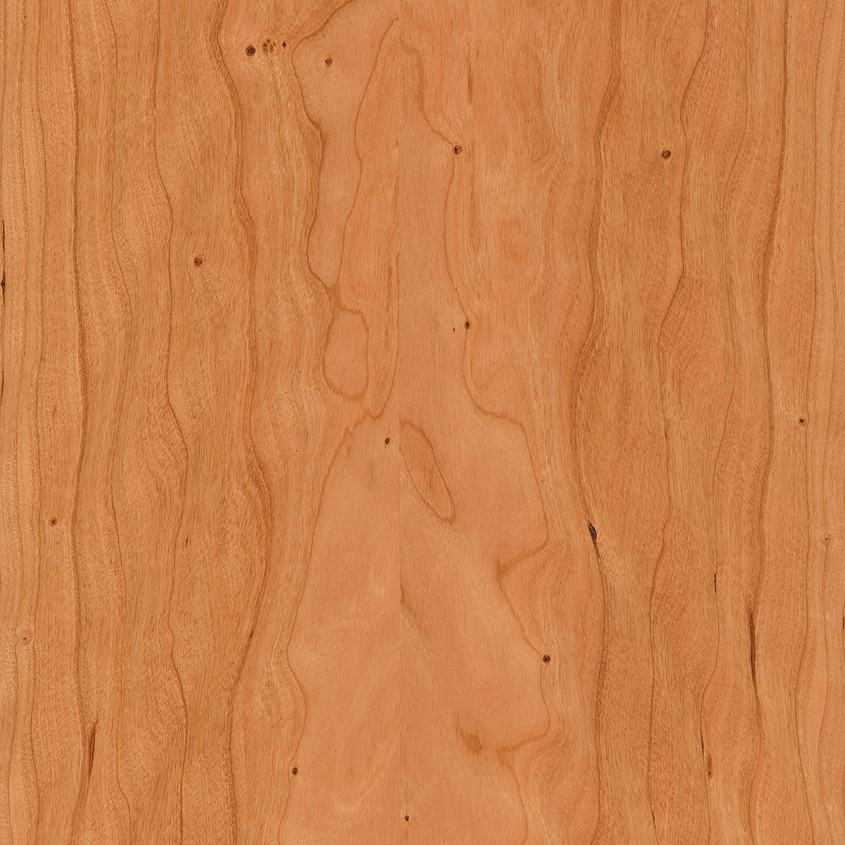 Curly Figured Cherry Veneer material sample – Eagle’s Nest, Sharjah UAE