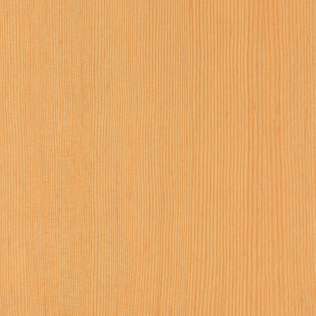 Quartered Vertical Grain Douglas Fir Veneer material sample – Eagle’s Nest, Sharjah UAE