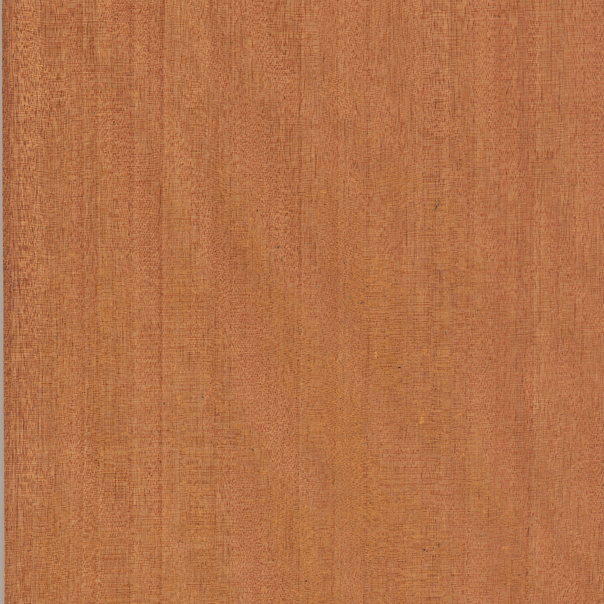 Quartered Gaboon Veneer material sample – Eagle’s Nest, Sharjah UAE