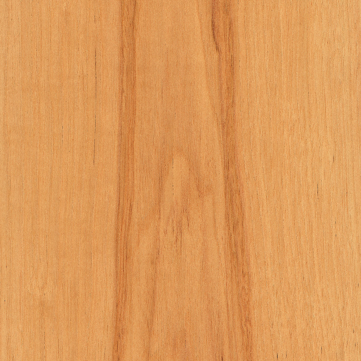 Flat Cut Hickory Veneer material sample – Eagle’s Nest, Sharjah UAE