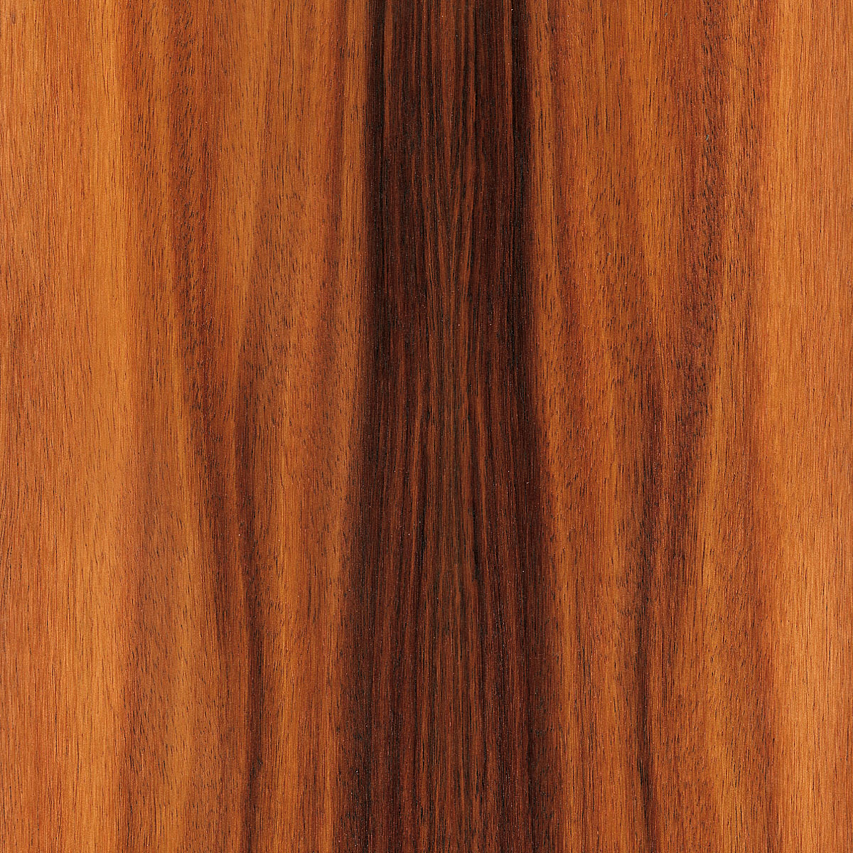 Hawaiian Koa Plywood material sample – Eagle’s Nest, Sharjah UAE