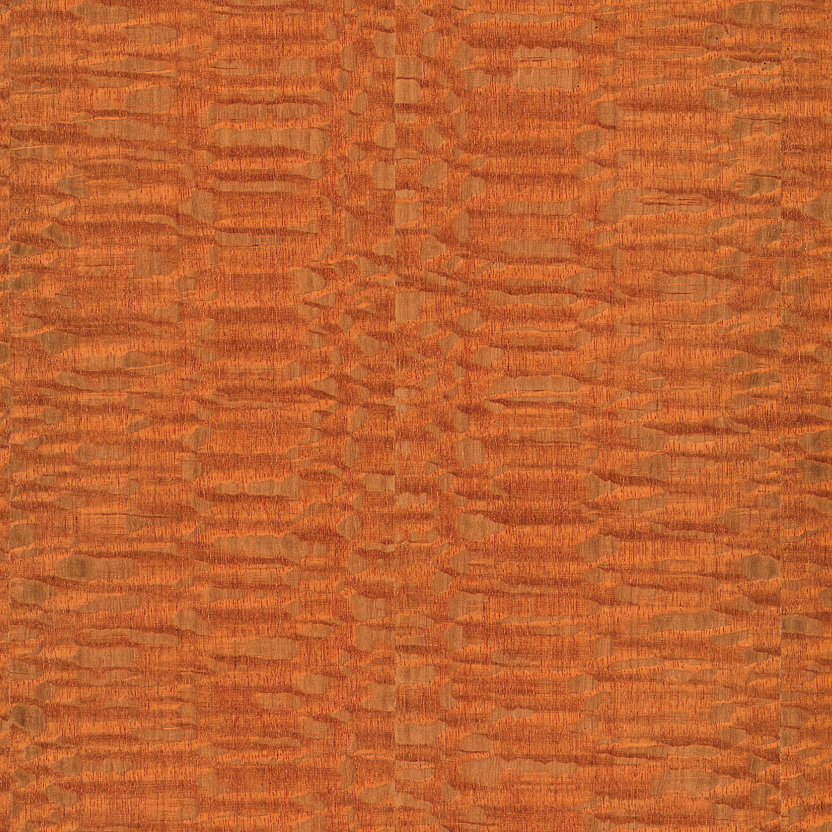 Quartered Lacewood Veneer material sample – Eagle’s Nest, Sharjah UAE