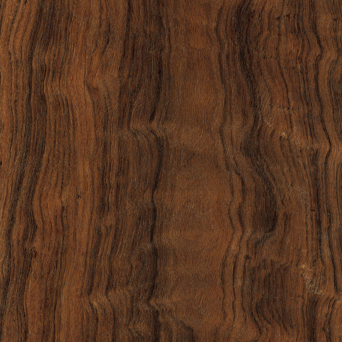 East Indian Laurel Plywood material sample – Eagle’s Nest, Sharjah UAE