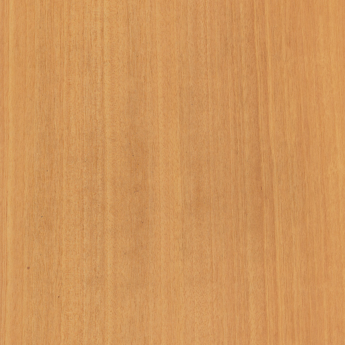 Quartered Limba Veneer material sample – Eagle’s Nest, Sharjah UAE