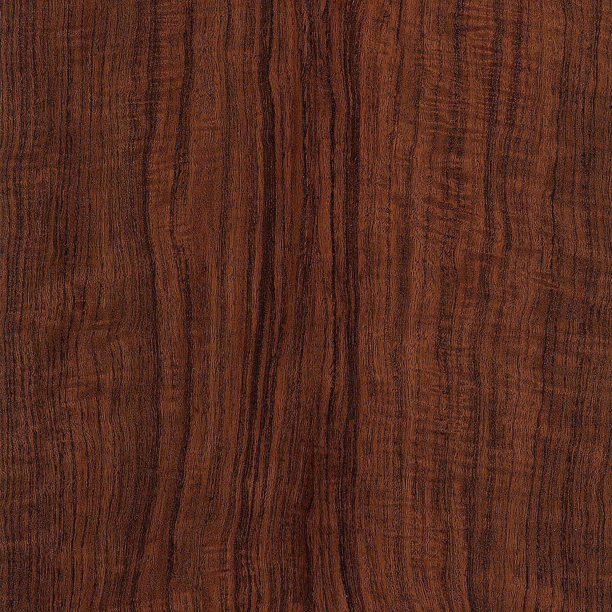 Louro Preto Plywood material sample – Eagle’s Nest, Sharjah UAE