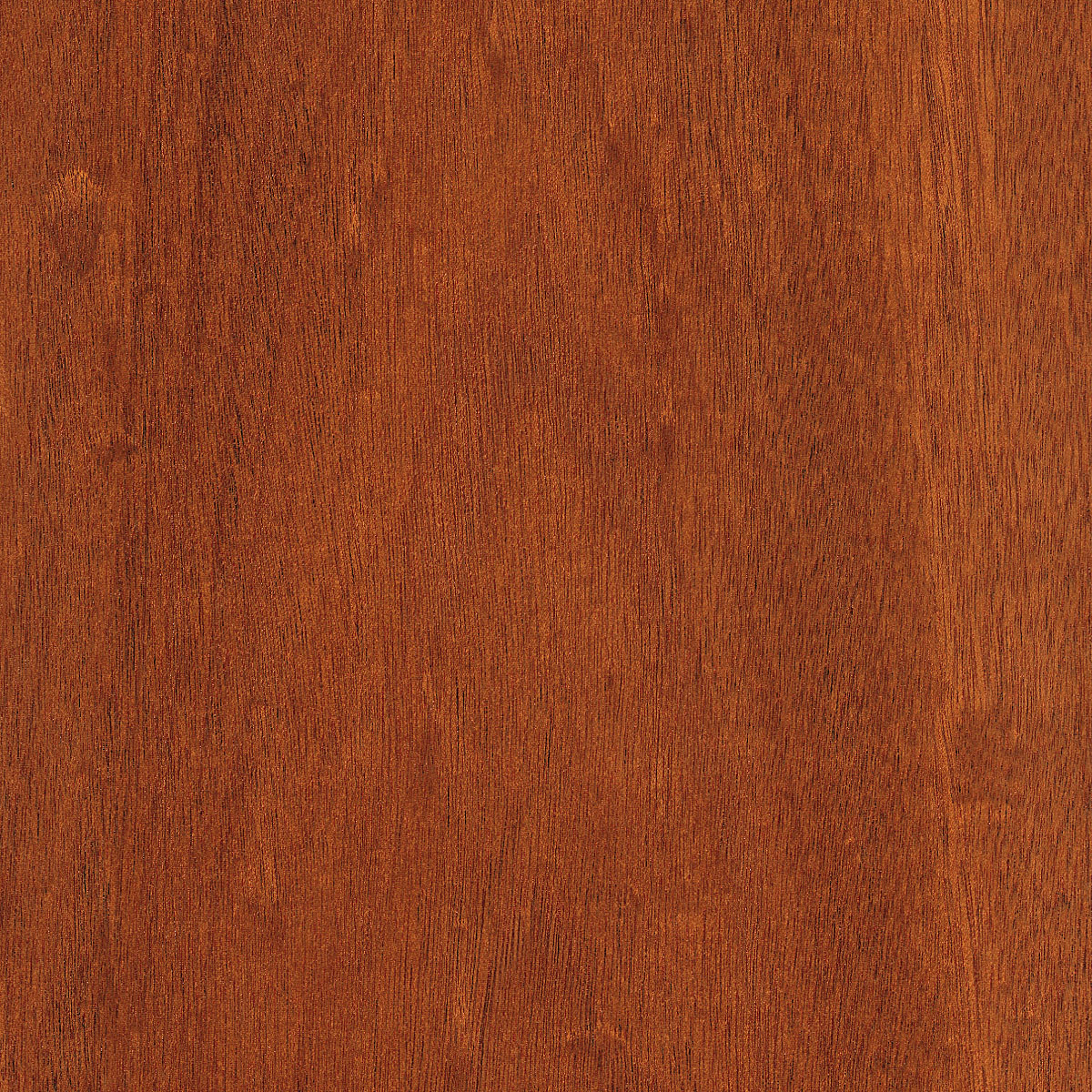 Flat Cut Mahogany Plywood material sample – Eagle’s Nest, Sharjah UAE