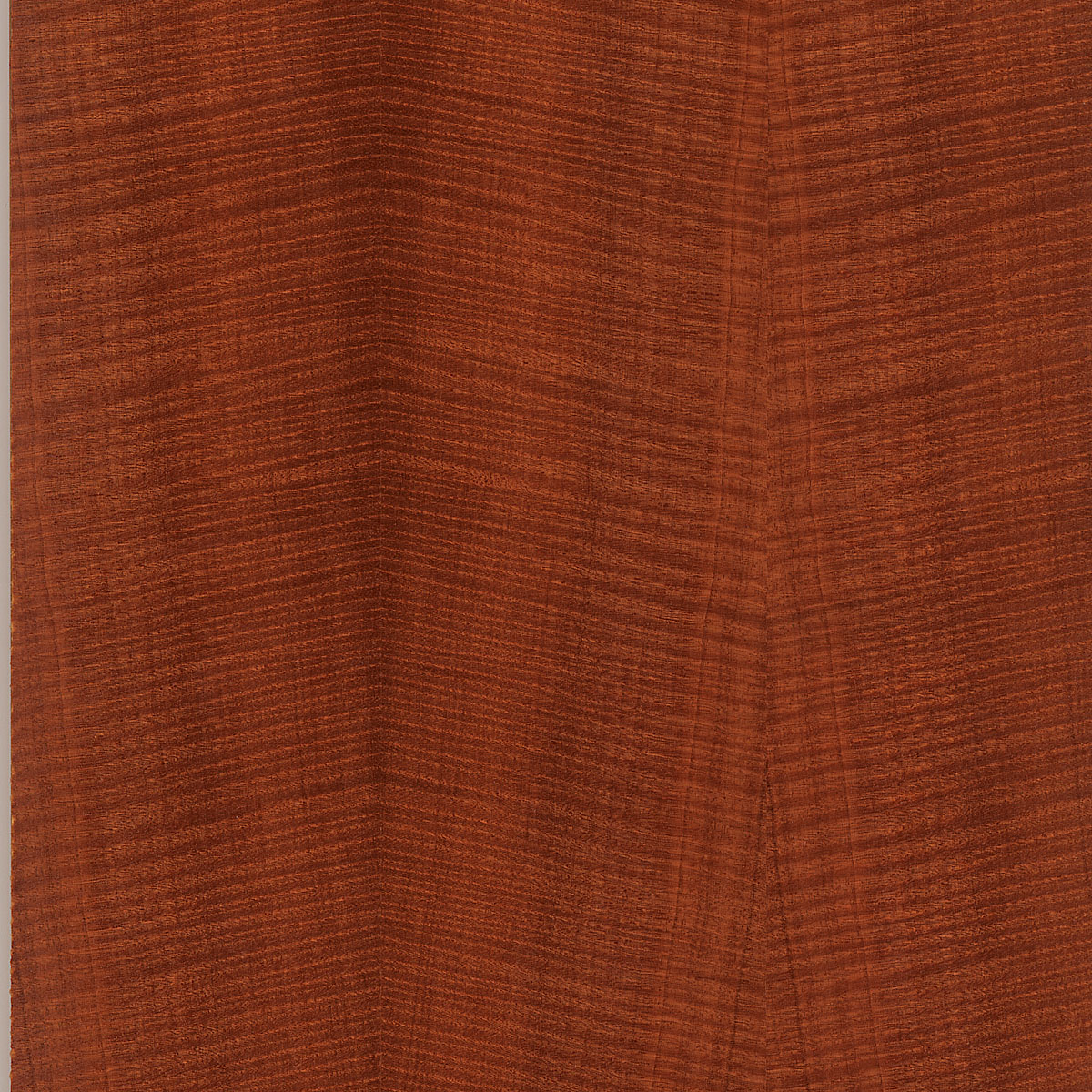 Quartered Fiddle Back Makore Plywood material sample – Eagle’s Nest, Sharjah UAE