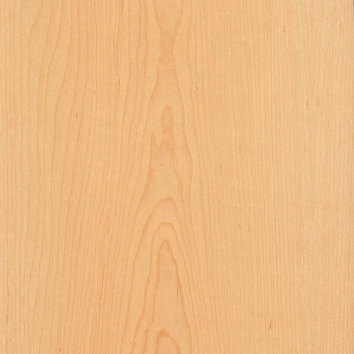 Flat Cut Maple Plywood material sample – Eagle’s Nest, Sharjah UAE