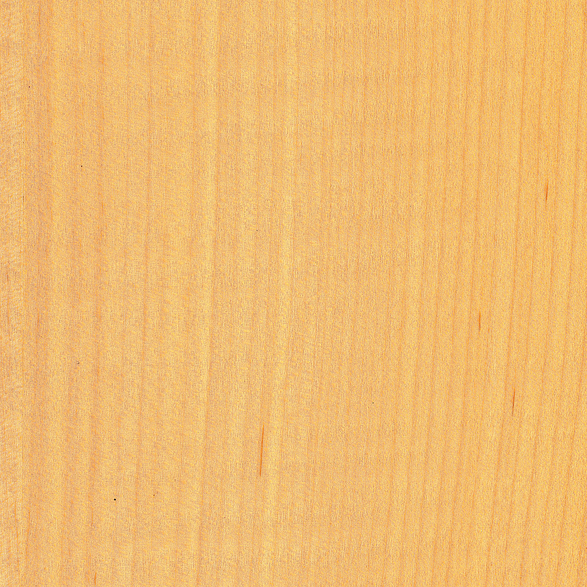 Quartered Maple Veneer material sample – Eagle’s Nest, Sharjah UAE