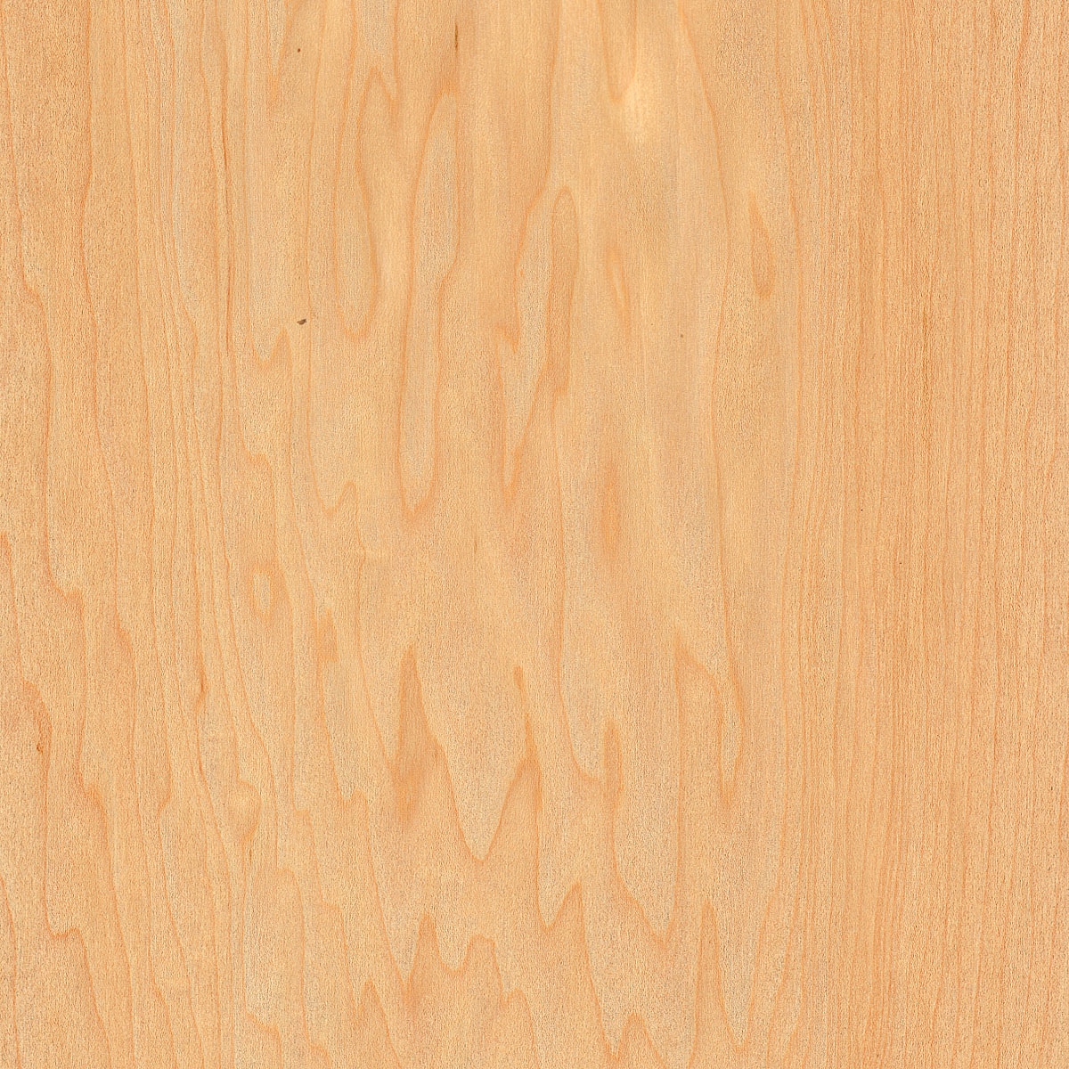 Rotary Cut Maple Veneer material sample – Eagle’s Nest, Sharjah UAE
