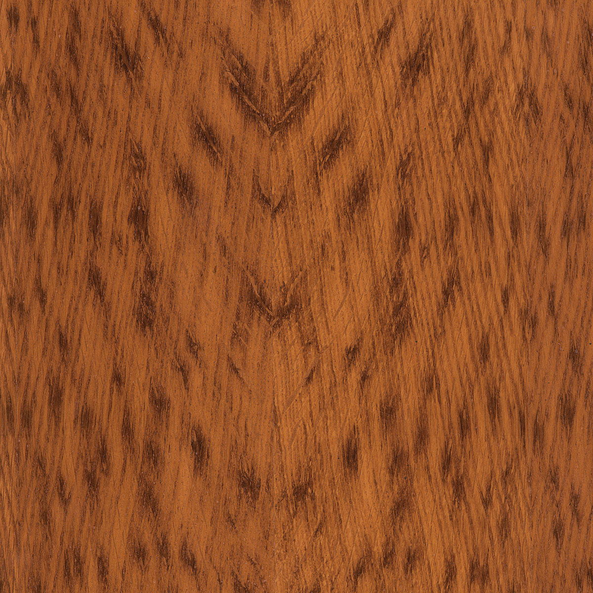 Quartered English Brown Oak Veneer material sample – Eagle’s Nest, Sharjah UAE