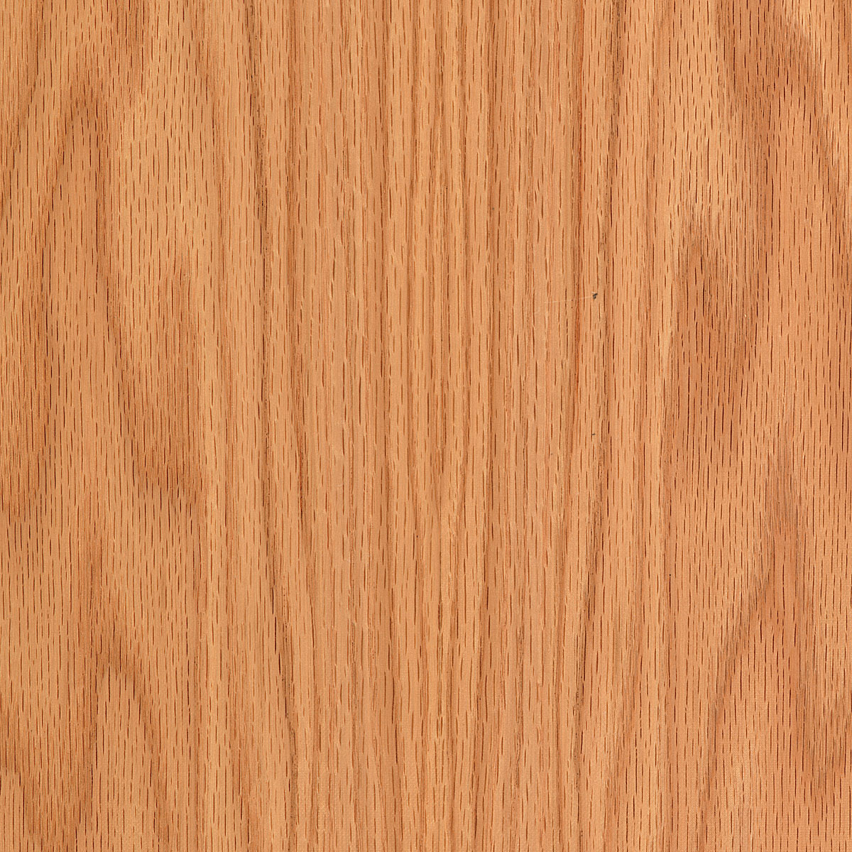 Flat Cut Red Oak Plywood material sample – Eagle’s Nest, Sharjah UAE