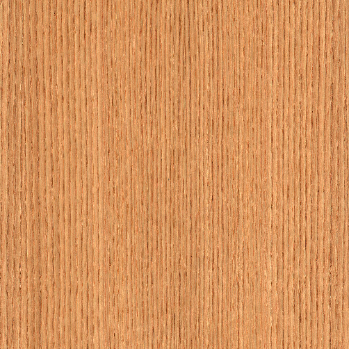 Rift Cut Red Oak Veneer material sample – Eagle’s Nest, Sharjah UAE