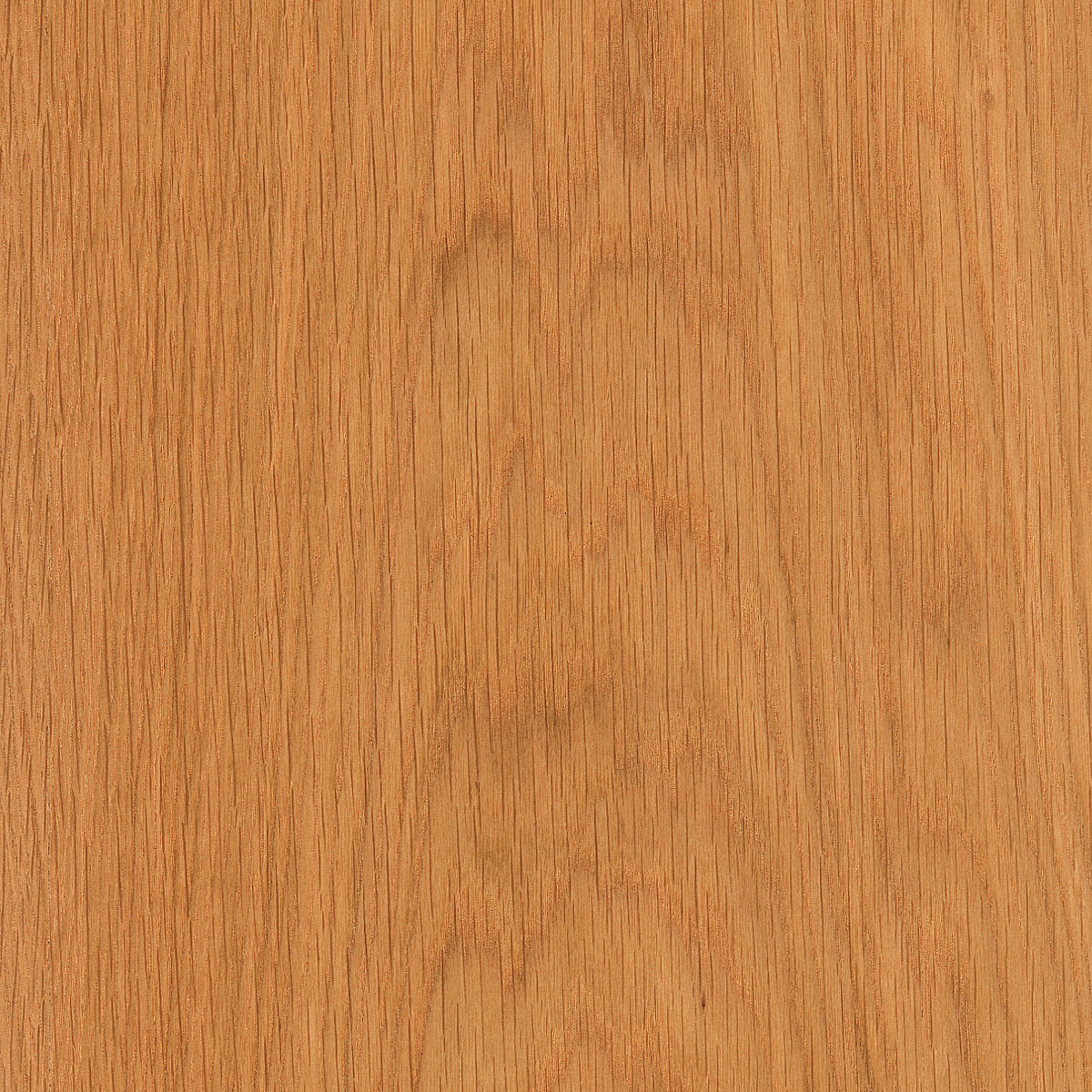 Flat Cut White Oak Plywood material sample – Eagle’s Nest, Sharjah UAE