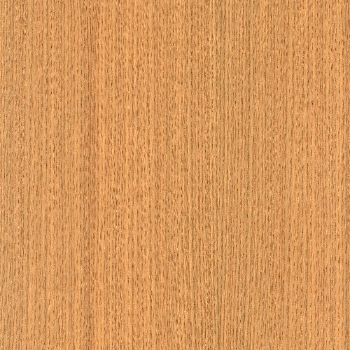Rift Cut White Oak Veneer material sample – Eagle’s Nest, Sharjah UAE