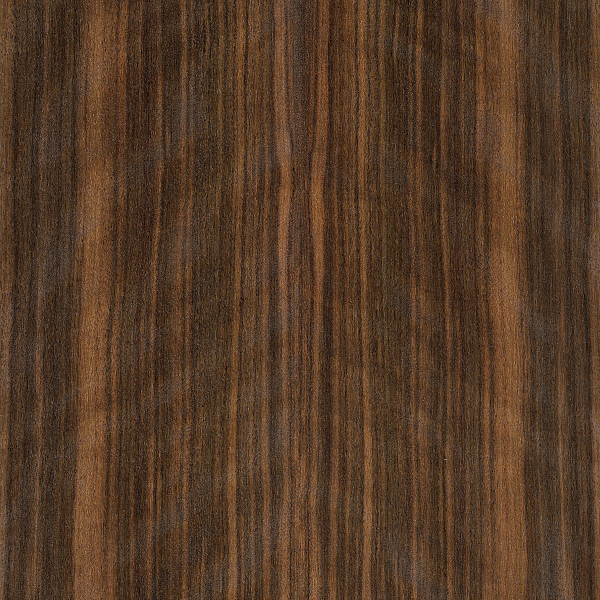 Quartered Figured Oriental Wood Plywood material sample – Eagle’s Nest, Sharjah UAE
