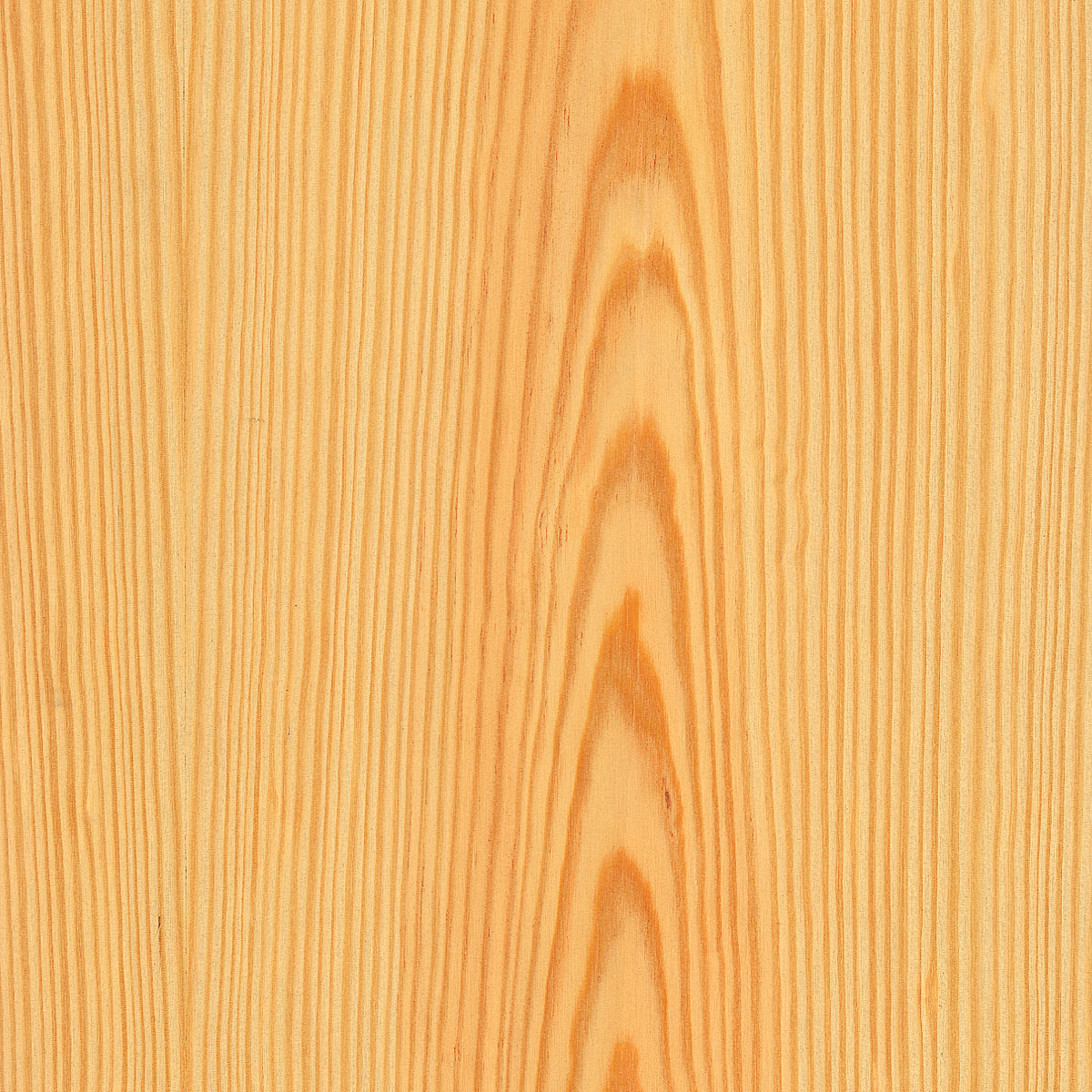 Flat Cut Yellow Pine Veneer material sample – Eagle’s Nest, Sharjah UAE