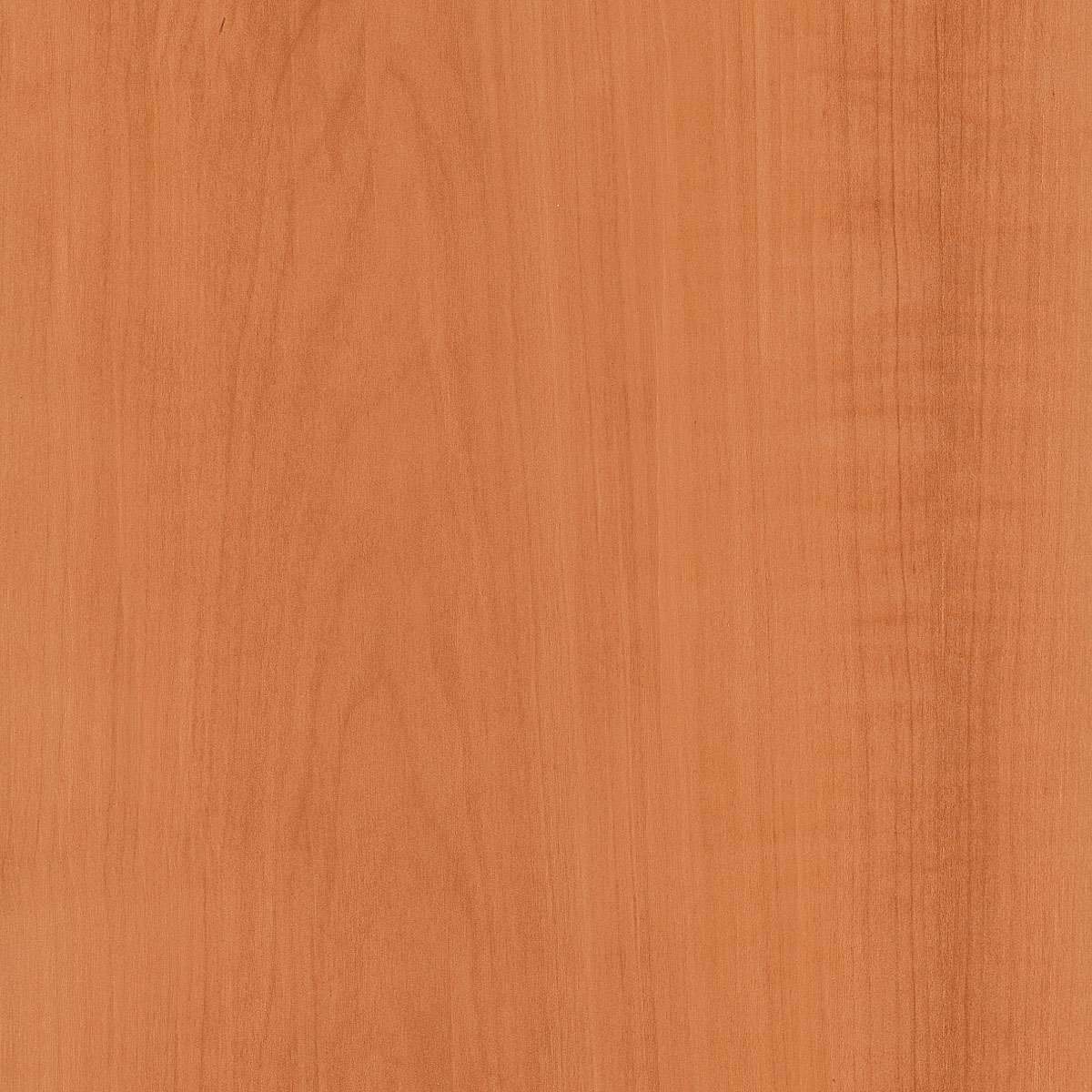 Flat Cut Swiss Pearwood Plywood material sample – Eagle’s Nest, Sharjah UAE