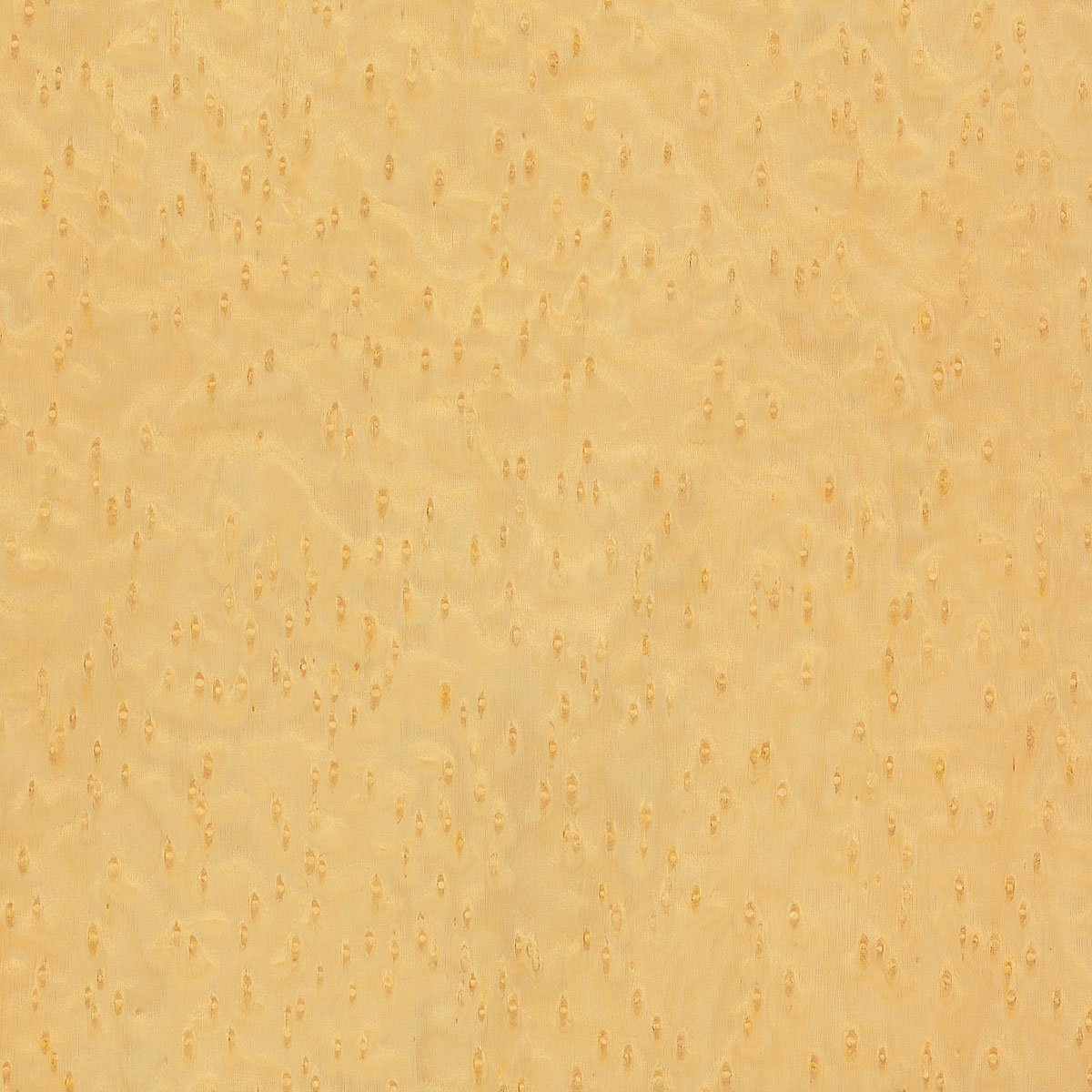 Reconstituted Birdseye Maple Plywood material sample – Eagle’s Nest, Sharjah UAE