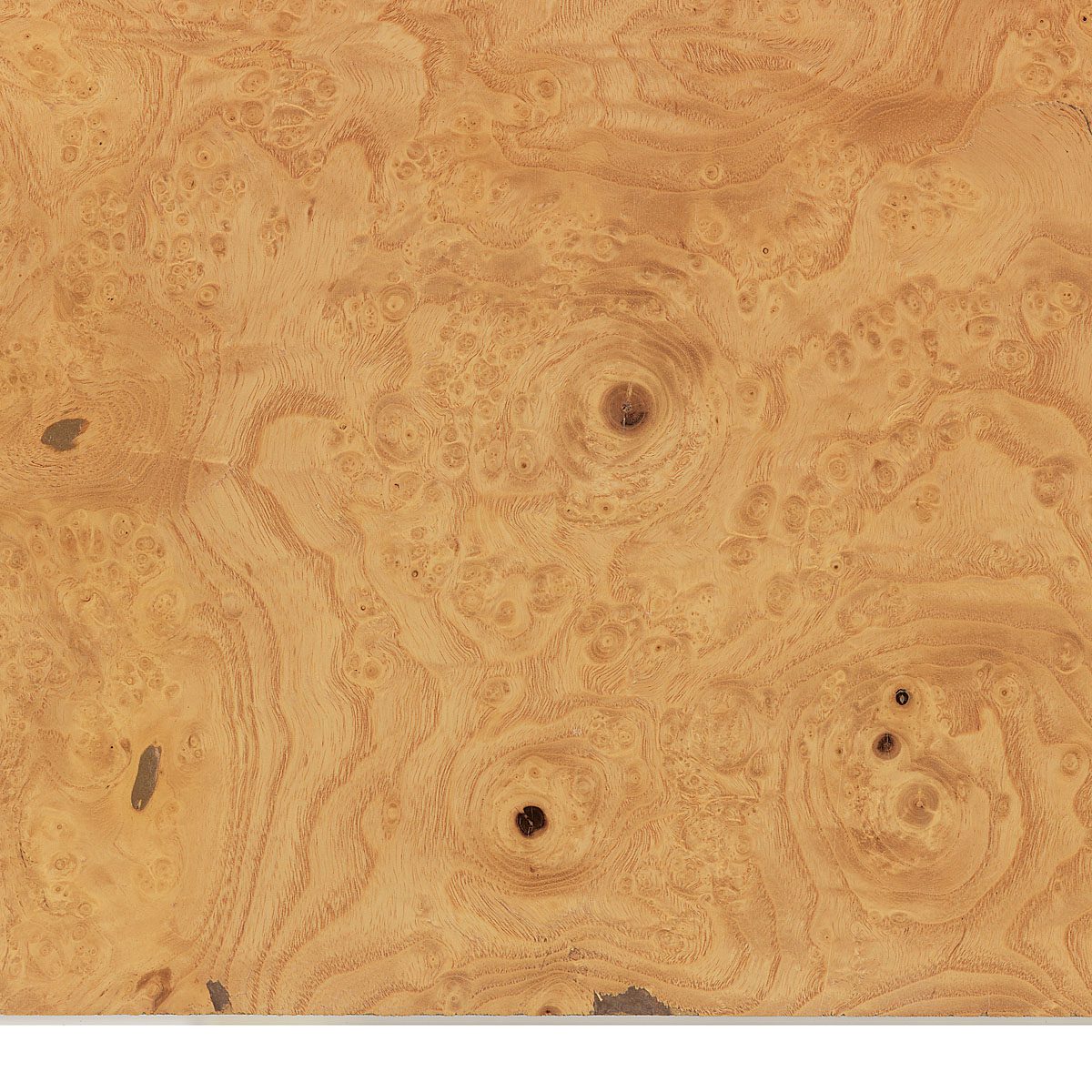 Burl White Ash Veneer material sample – Eagle’s Nest, Sharjah UAE
