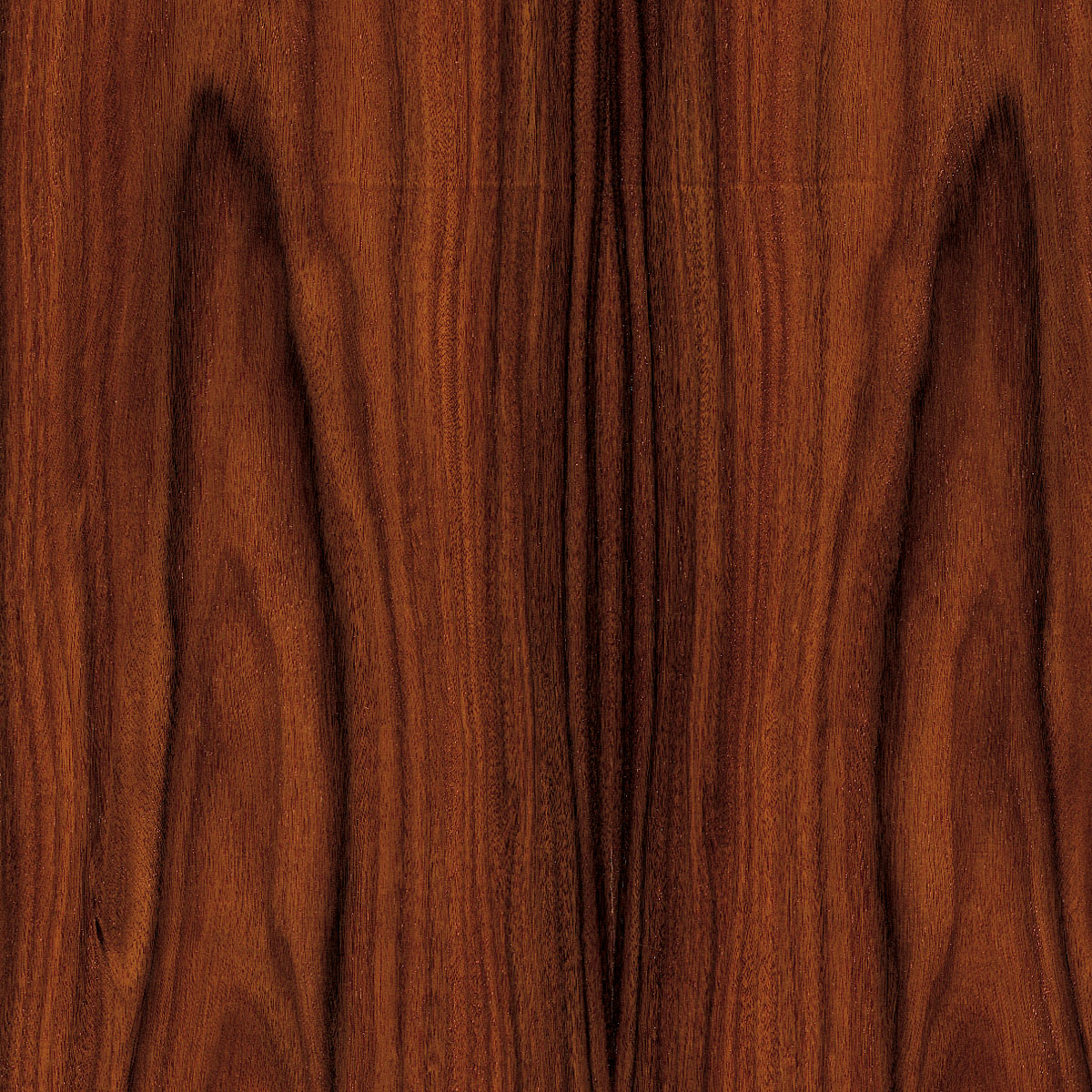 Flat Cut South American (Santos) Rosewood Plywood material sample – Eagle’s Nest, Sharjah UAE