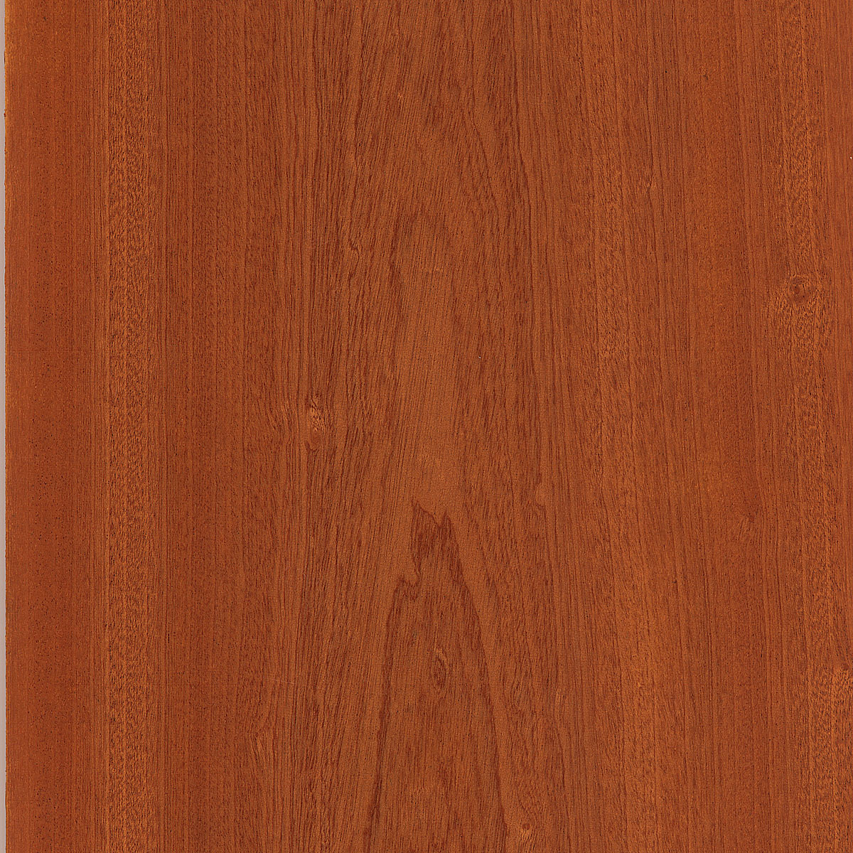 Flat Cut Sapele Plywood material sample – Eagle’s Nest, Sharjah UAE