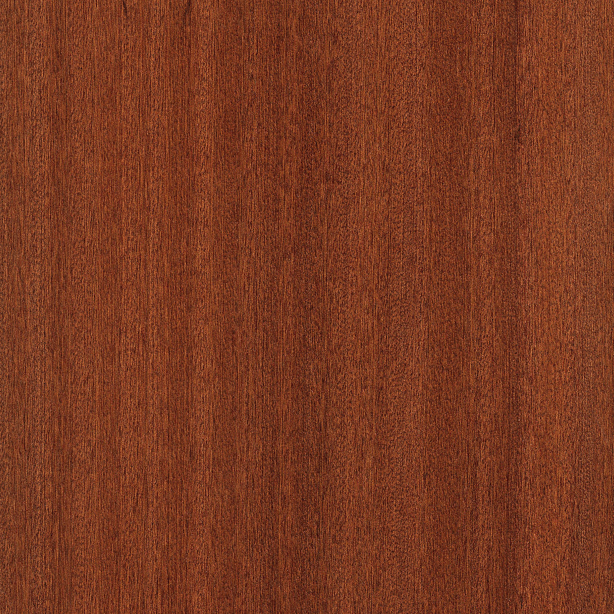 Quartered Sapele Veneer material sample – Eagle’s Nest, Sharjah UAE