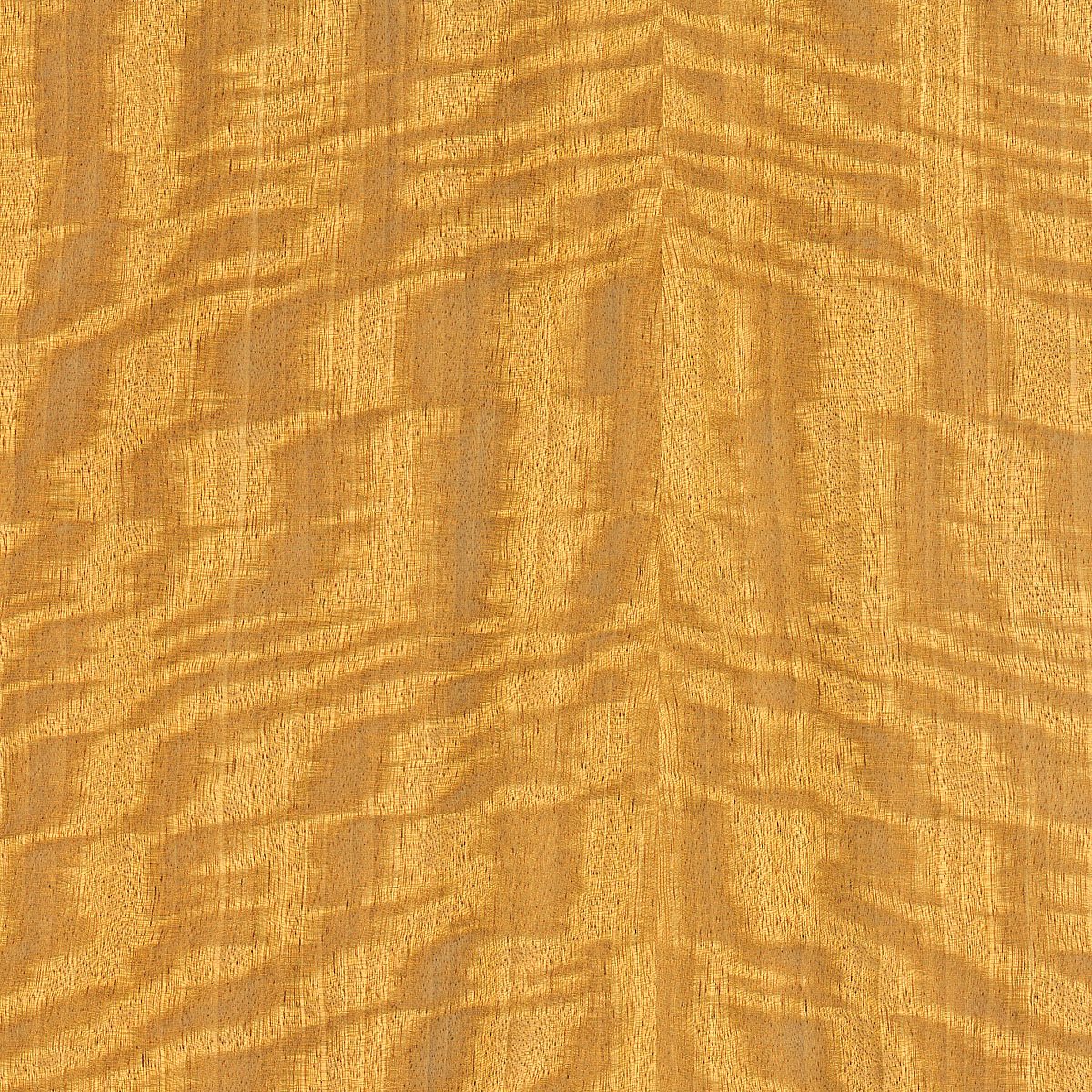 Quartered Figured Satinwood Plywood material sample – Eagle’s Nest, Sharjah UAE