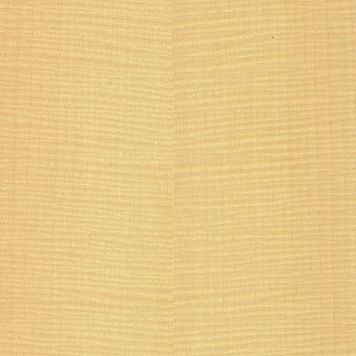 Quartered Figured English Sycamore Plywood material sample – Eagle’s Nest, Sharjah UAE